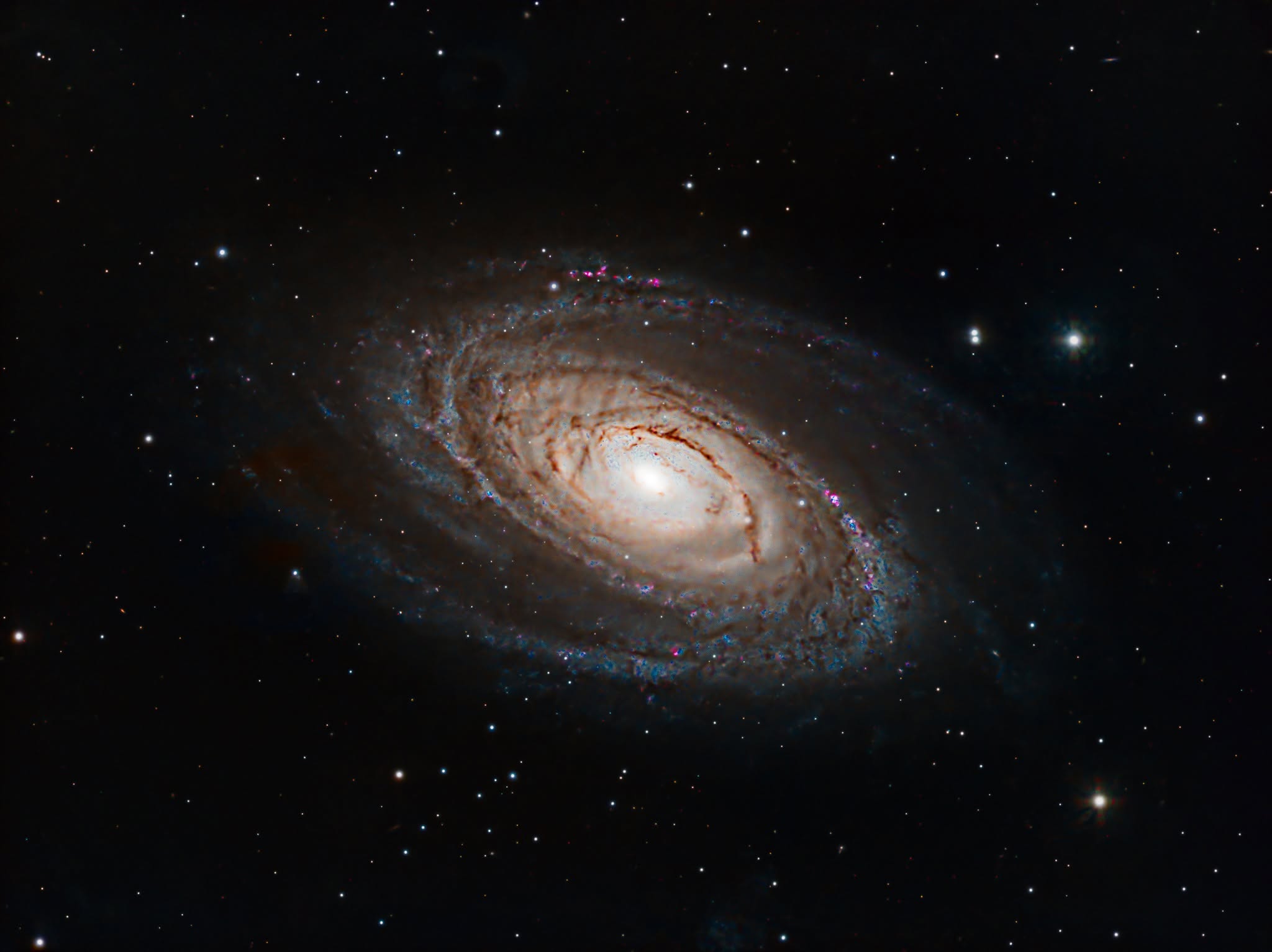 Bode's Galaxy (M81)